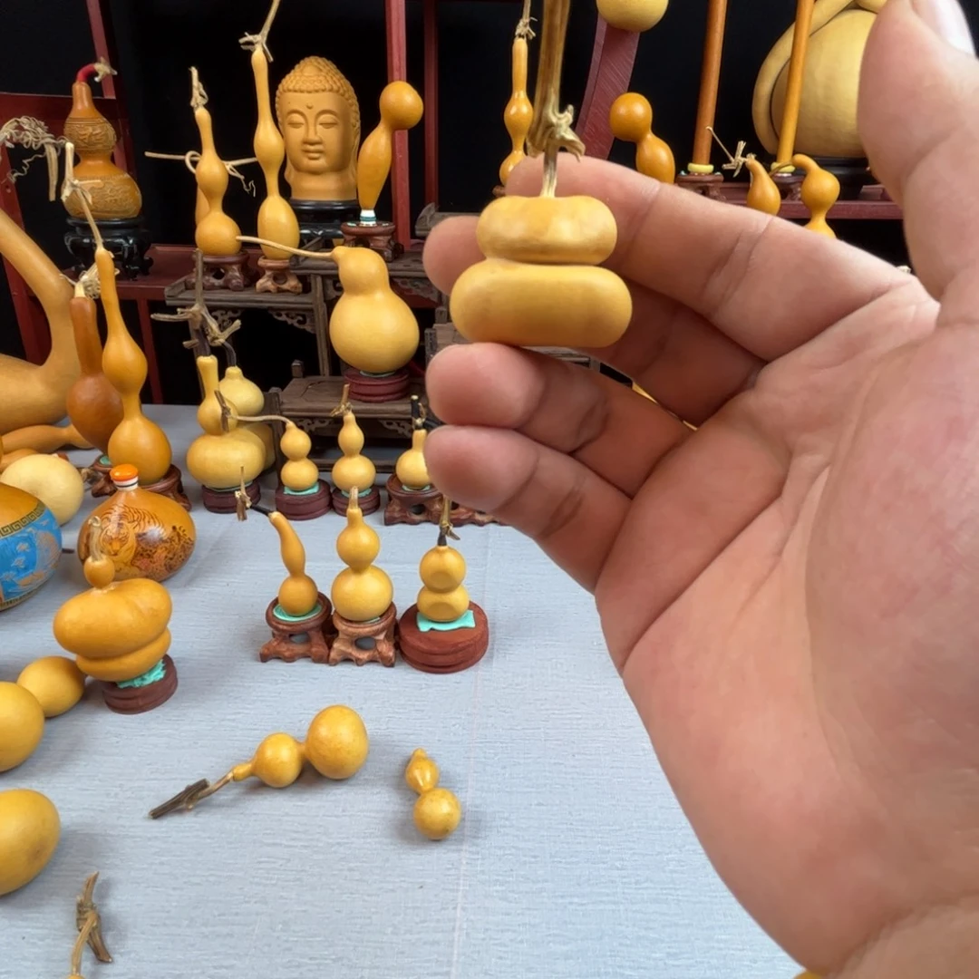 Y***'藤木我的小可爱，一点也不像个女孩