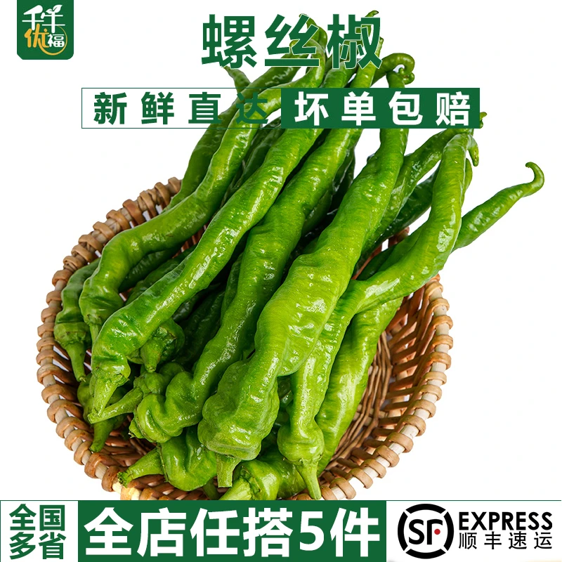 顺丰现摘螺丝椒 薄皮肉厚超辣皱皮 农家特辣香辣青椒蔬菜当季发