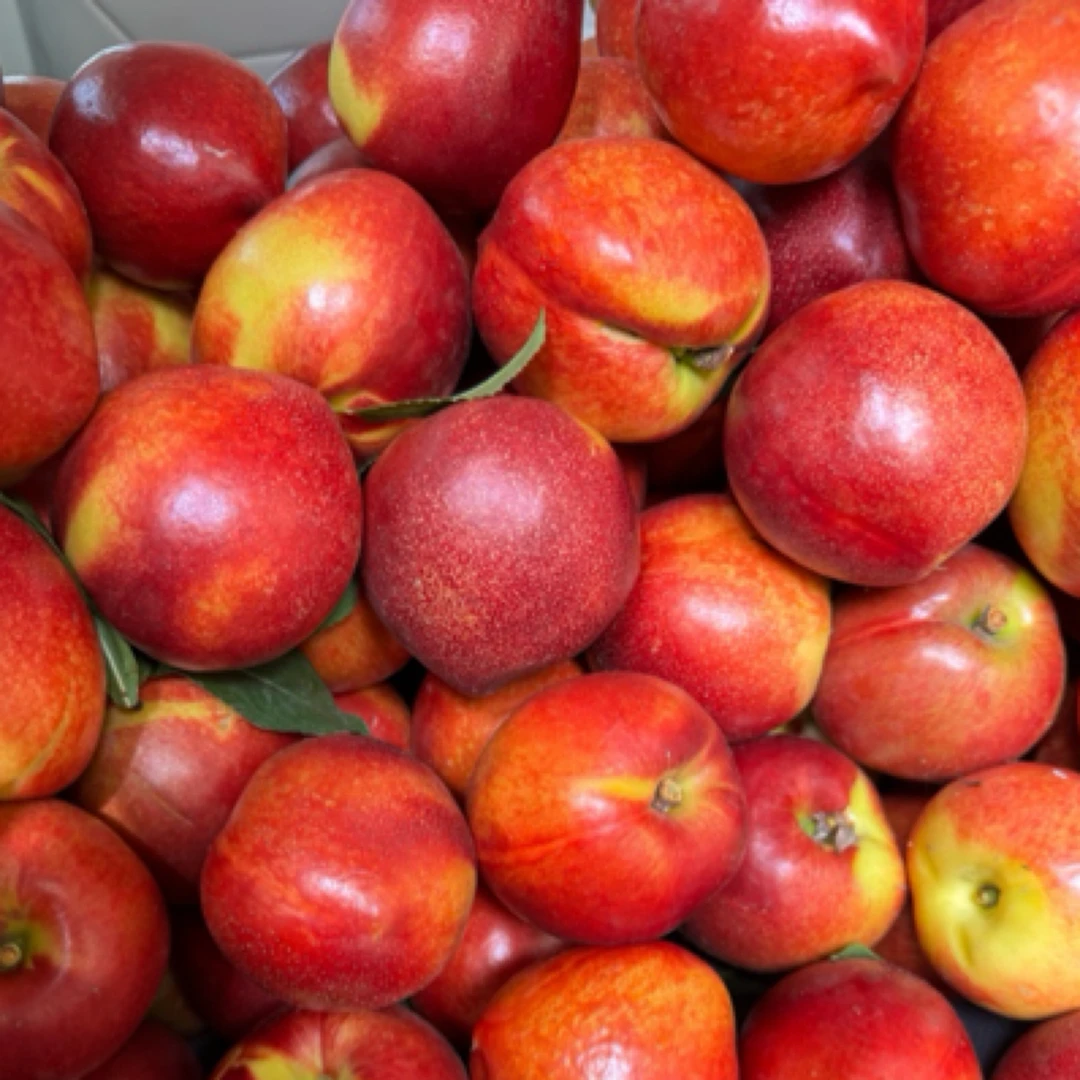 老家黄瓤油桃味道浓郁孩子特别爱吃