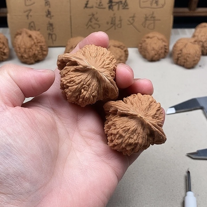 泛***栩吊坠龙脊菩提20.20.20.20