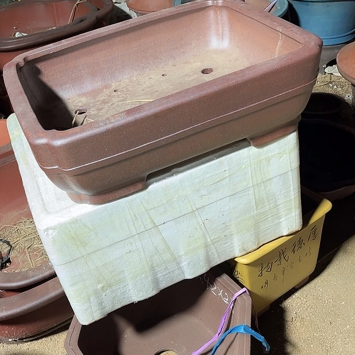 远****头宜兴紫砂长方二号