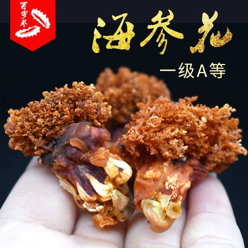 【当天发货】红极参参花海参直播海参