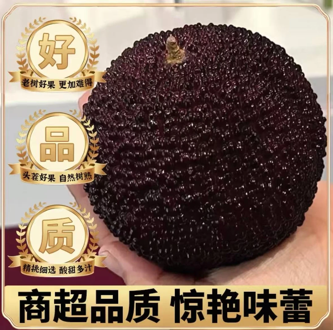 8A【单粒包装】新鲜高原云南杨梅现摘现发