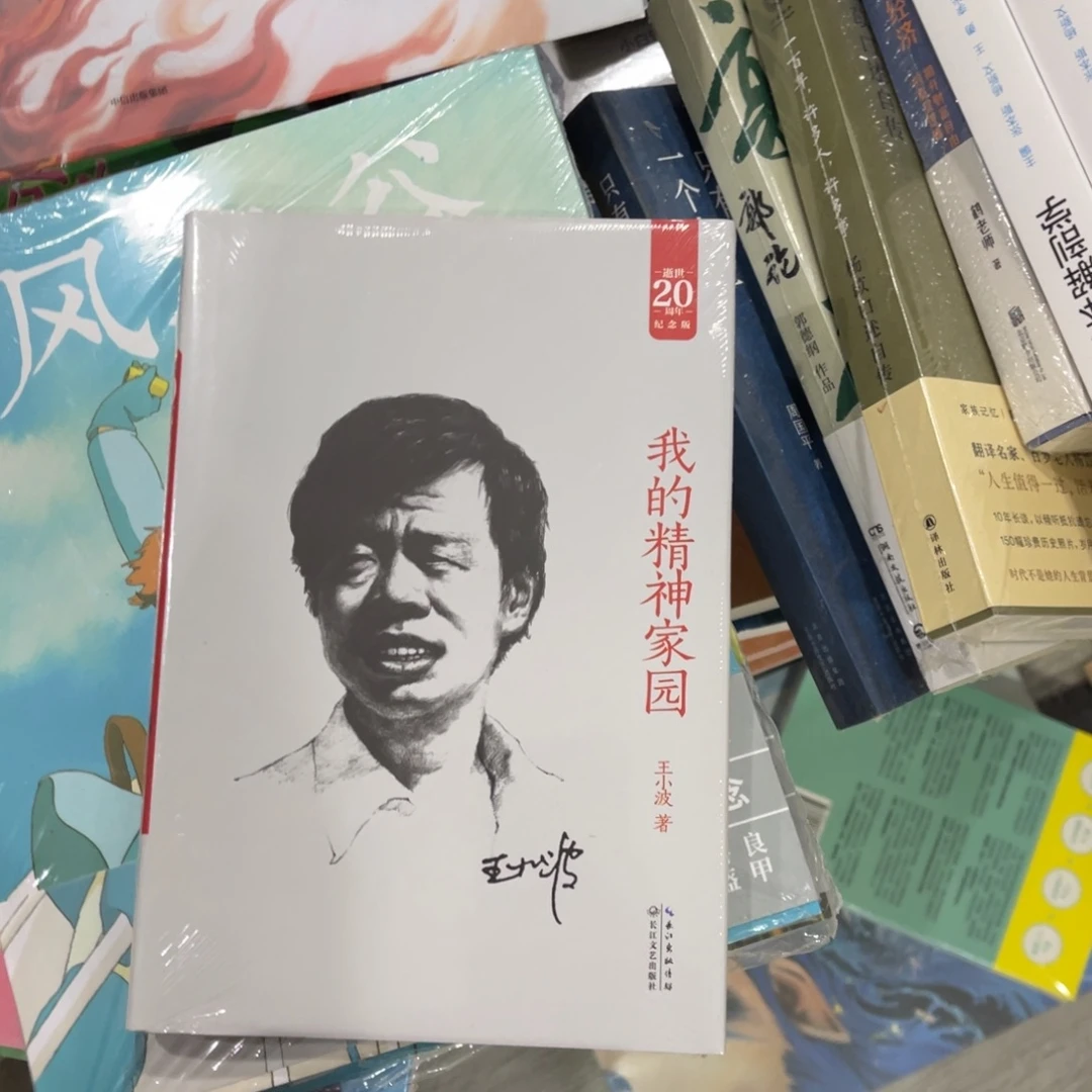 我的精神家园精装一个