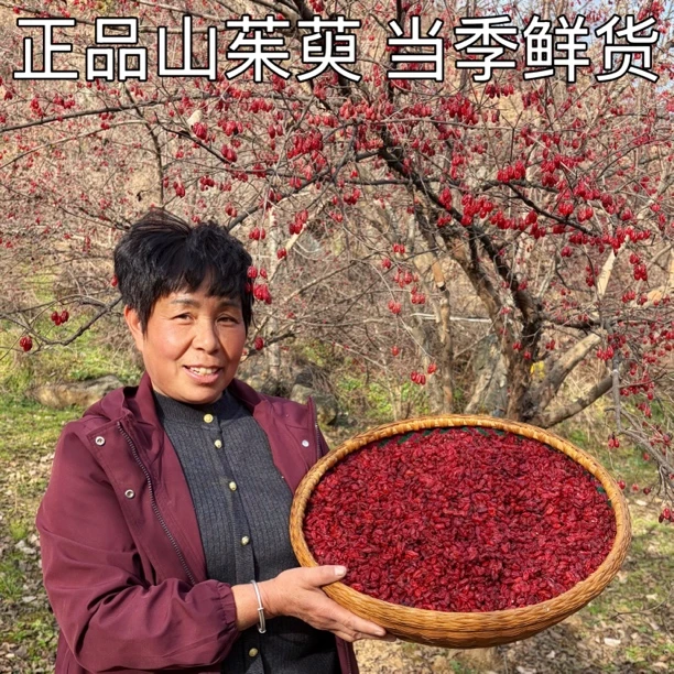 【野生山茱萸新货】秦岭山茱萸去核干货茱萸肉泡水无熏硫枣皮中药材