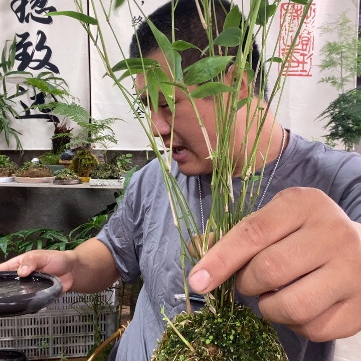 桃***g无花朵退款退款拉黑16