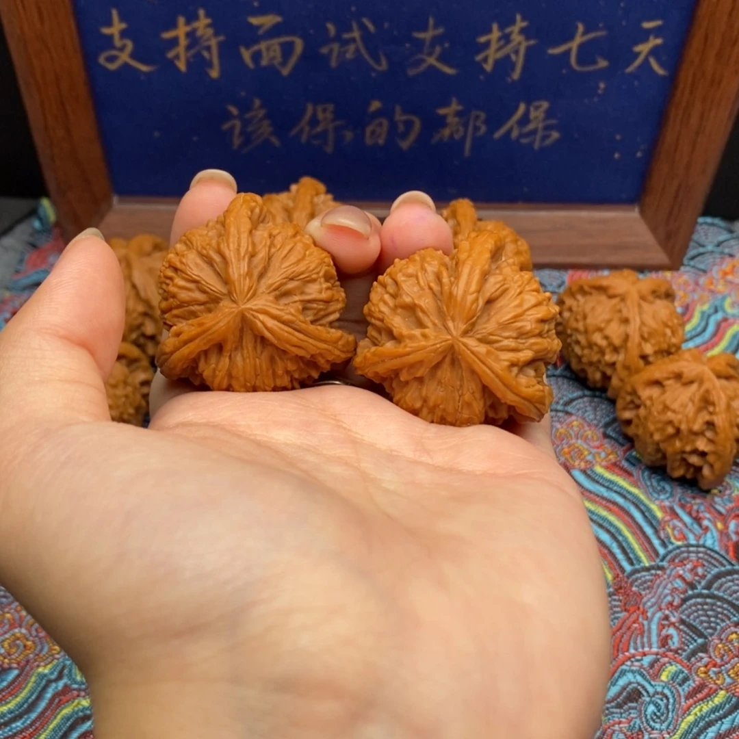 【闪购商品】山***神白狮