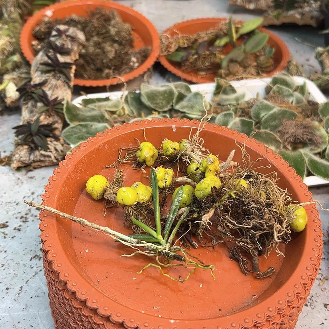 王***120。。。。。。。。。。。。。