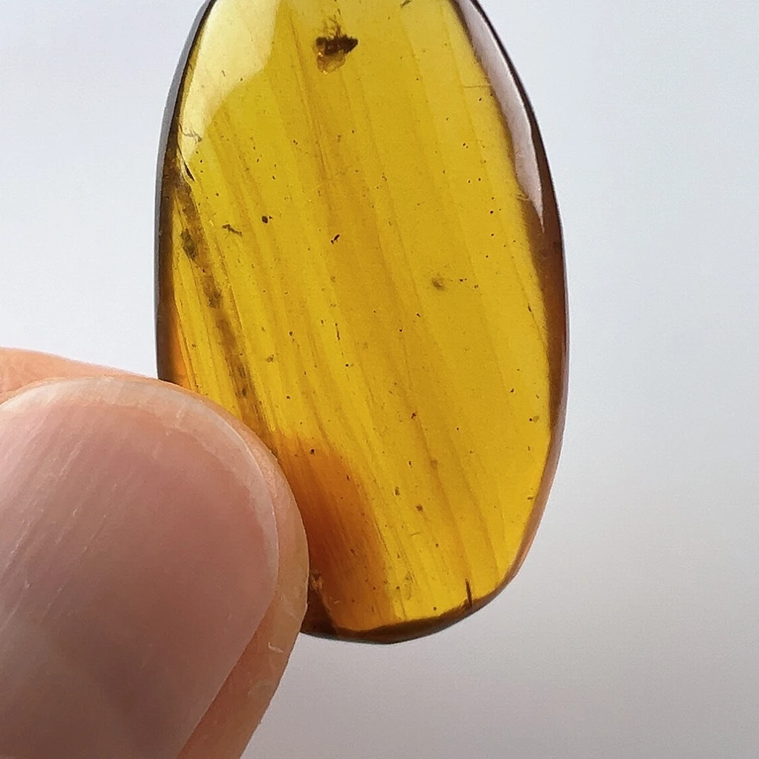 琥珀裸石未镶嵌琥珀虫珀