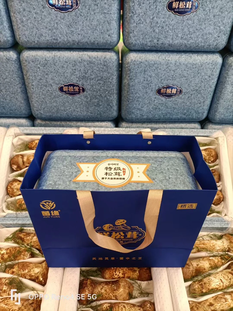 新鲜松茸顺丰空运野生菌食材手选货2025年的凡尔赛品质