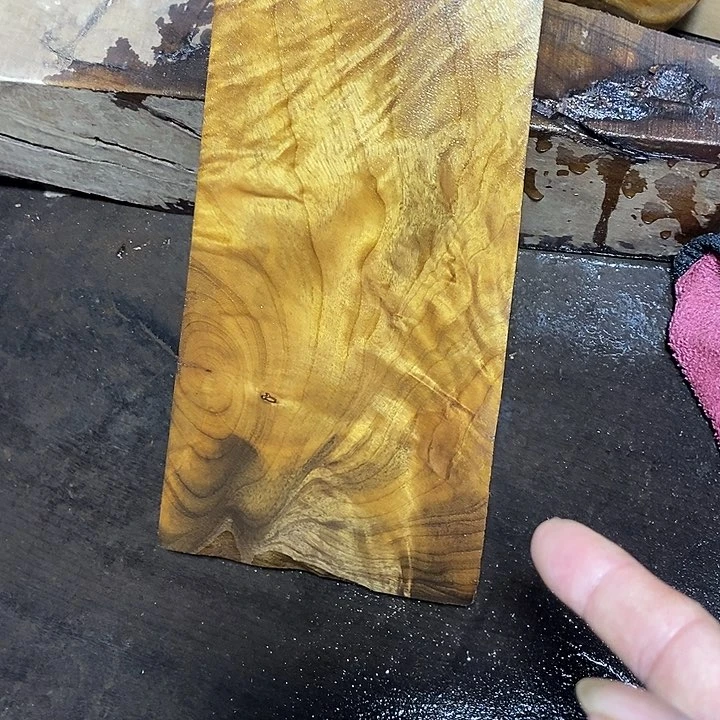 楠木金丝楠木小叶