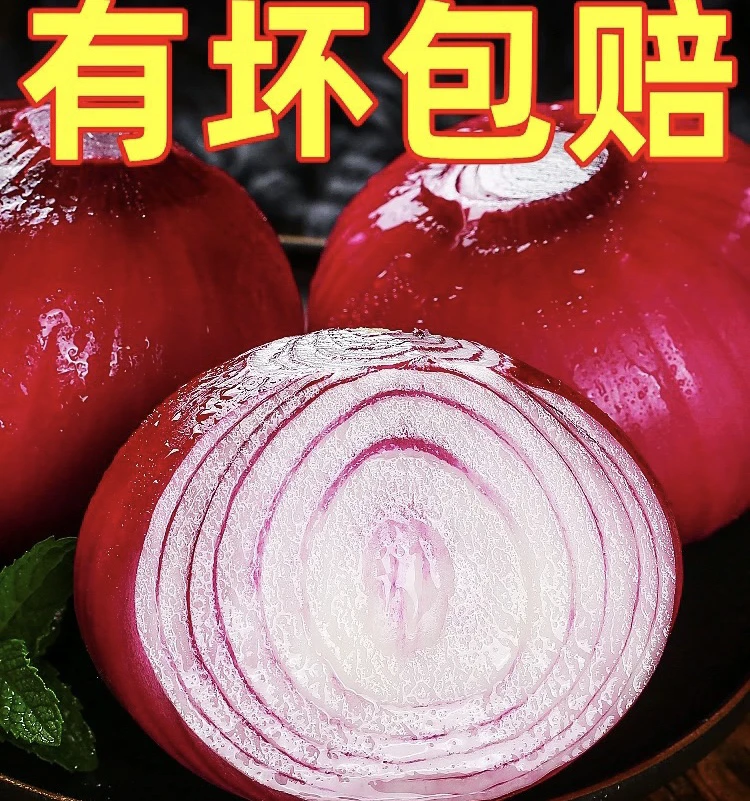 河南紫皮洋葱新鲜蔬菜生吃脆甜漏天种植5农家菜斤