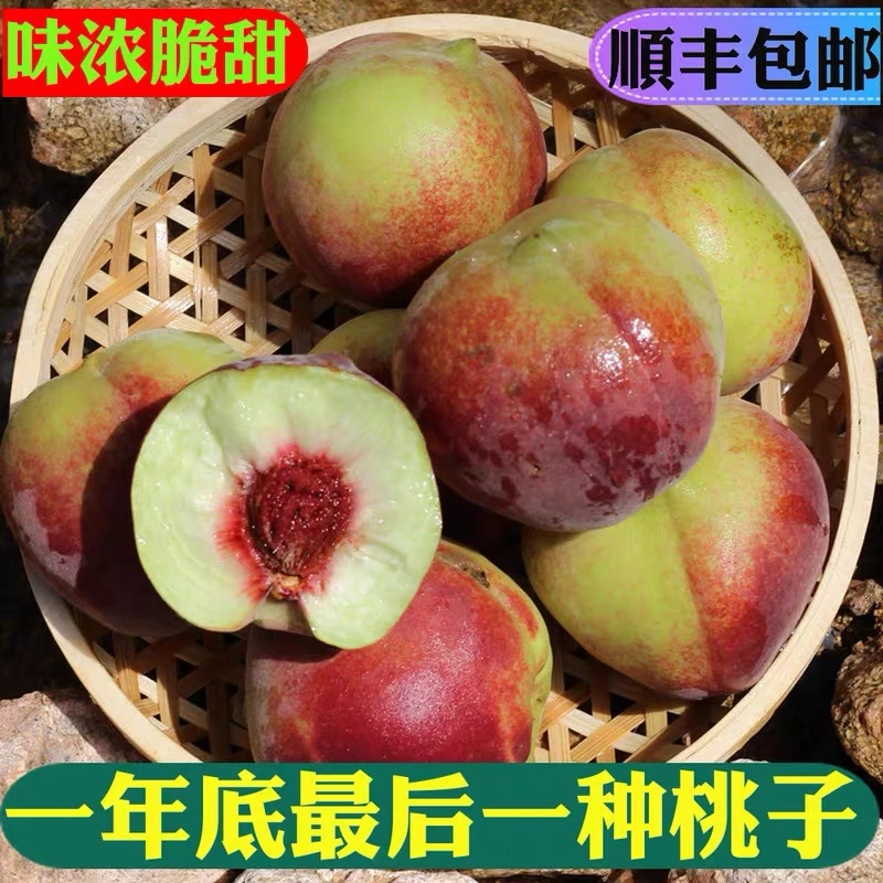【顺丰次日达】正宗山东青州蜜桃新鲜水果桃子山桃WW914小毛桃脆甜离核现摘非水蜜桃山东省