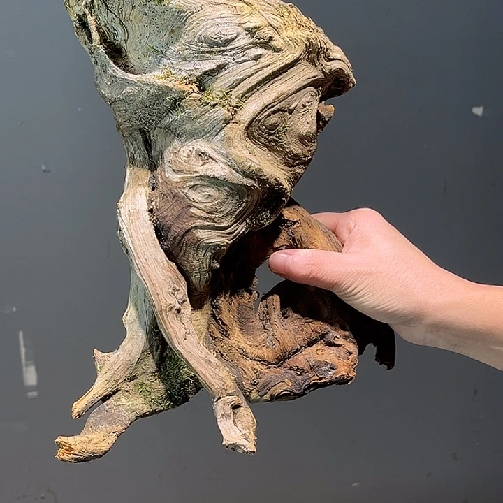 愈***痕香榧木你是在哪呢