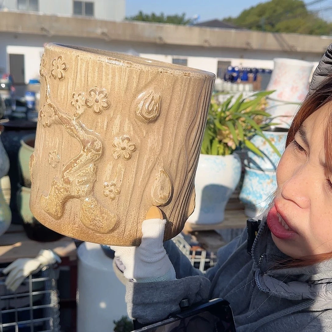 王嫂花盆直播1118-349高20口20