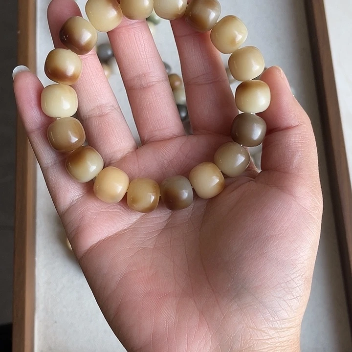 手串菩提根/象牙果卡14小橘灯