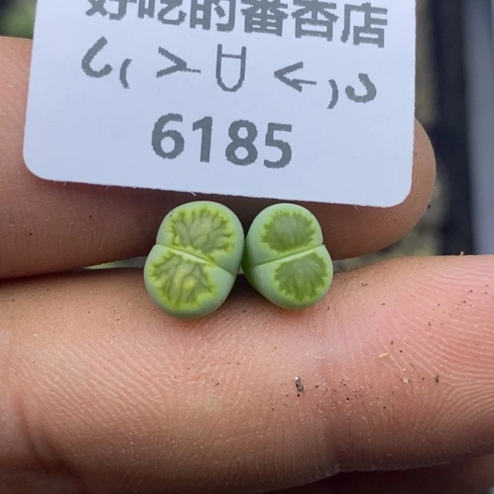 ?****?6185。18包邮.当天凑哦。新疆西藏88包邮