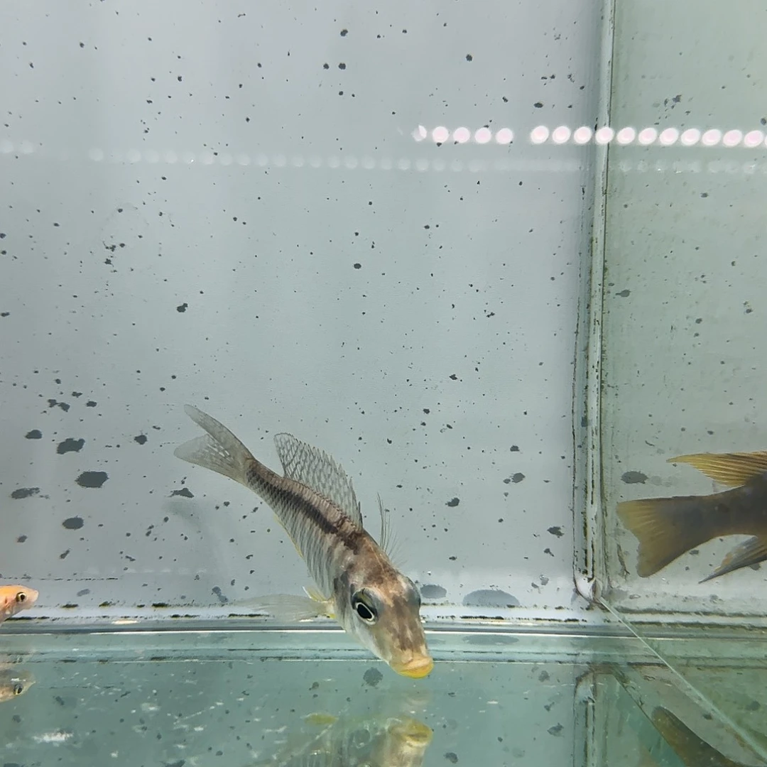 真***…流行鲷1143^_^^_^^_^^_^