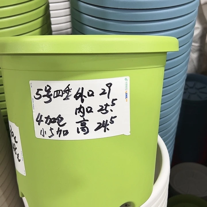 四季5号米色特价6个无托