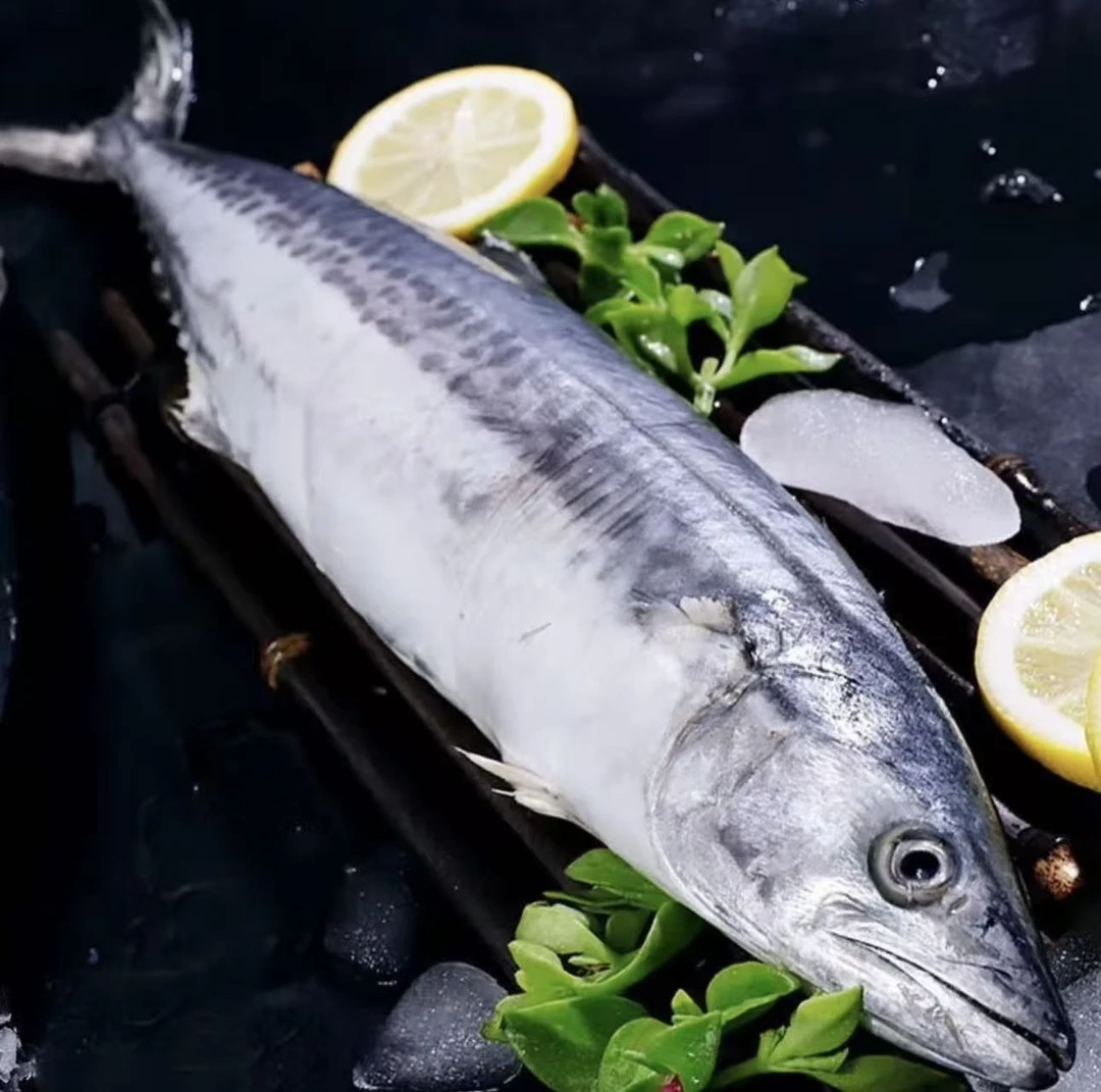 新鲜海捕去腮去肚宽白馥马鲛鱼速冻锁鲜发货