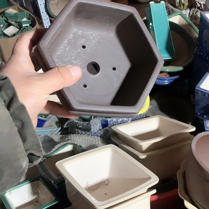 紫砂哈哈真的是太给力太火爆了