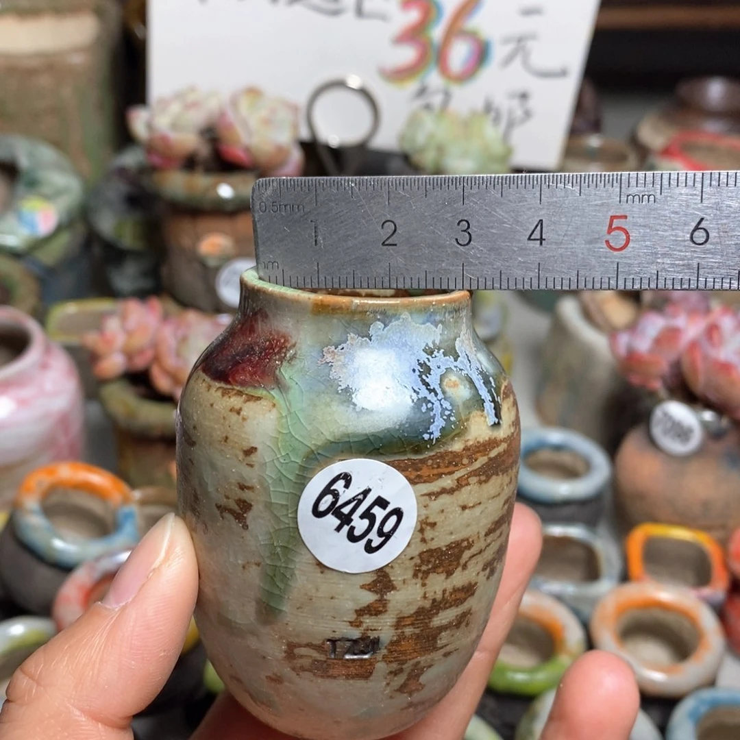 花盆拍5送一个小礼物