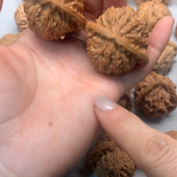 *****文玩核桃把件白狮子45