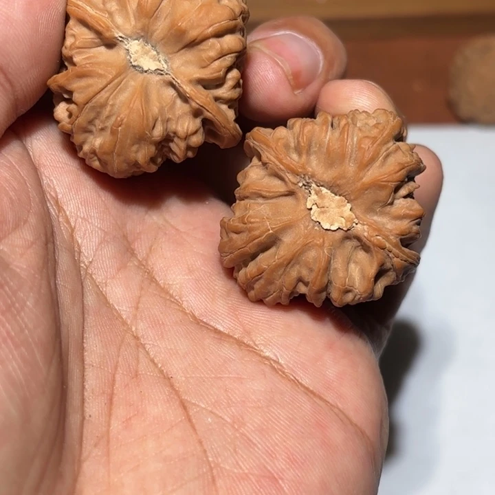 核桃平谷凹的核桃