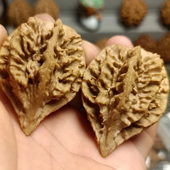 文玩核桃吊坠大楸子核桃5号