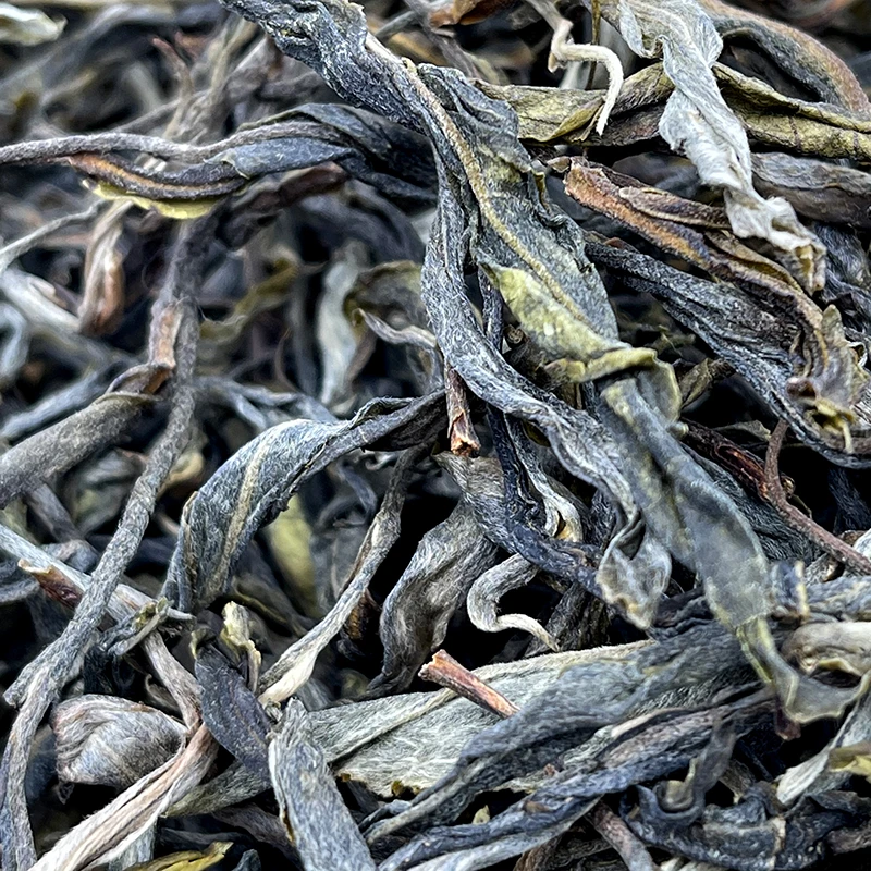 冰韵伍山  2023年春 冰岛产区自家古树茶100克  普洱茶生茶