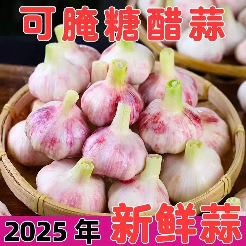 农家2025现挖新鲜嫩湿蒜河南鲜蒜紫皮大蒜多瓣蒜头辣味糖醋蒜