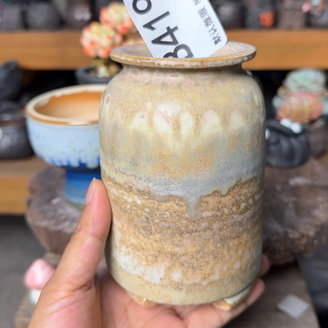 重庆小燕子欢迎大家419