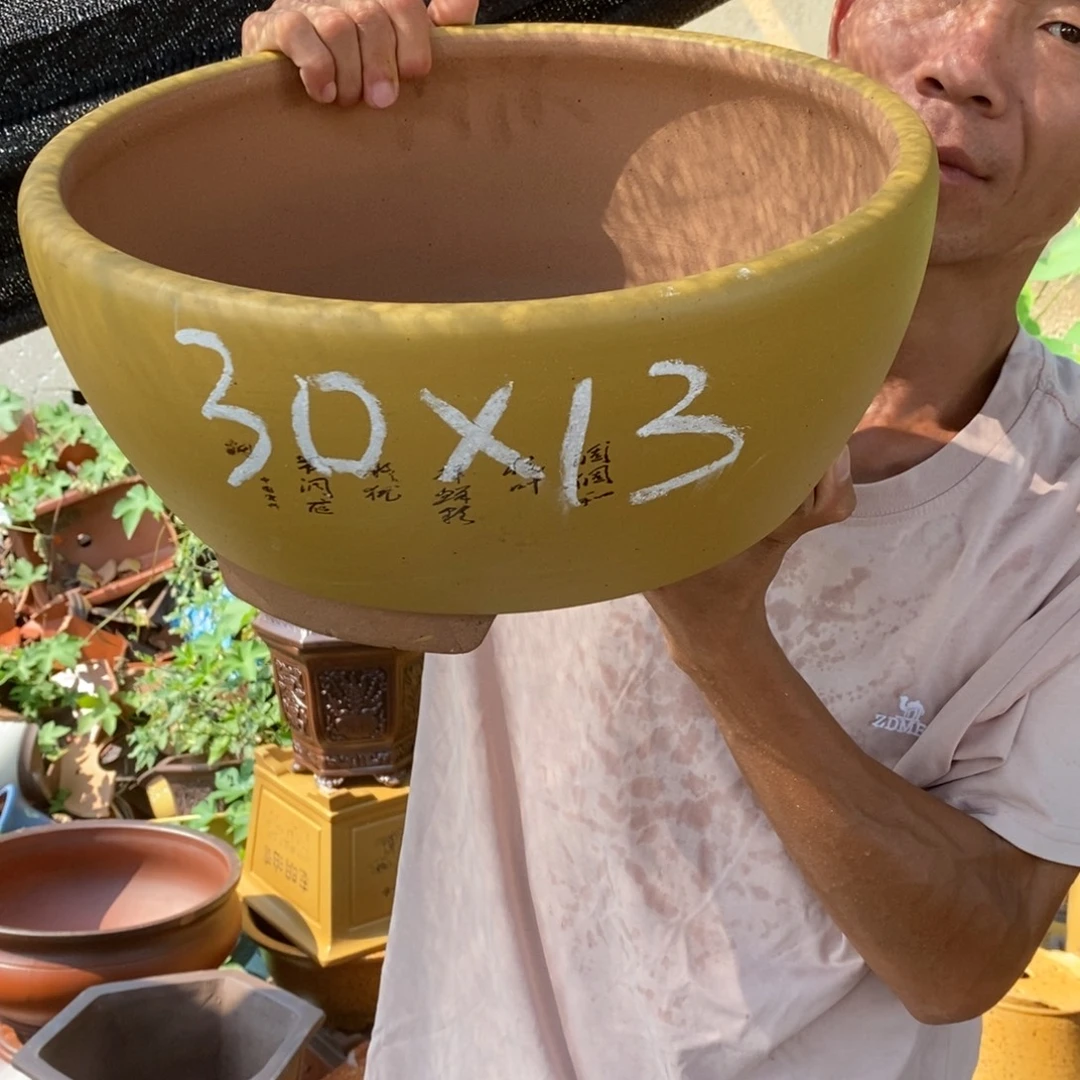 紫砂紫砂紫砂紫砂