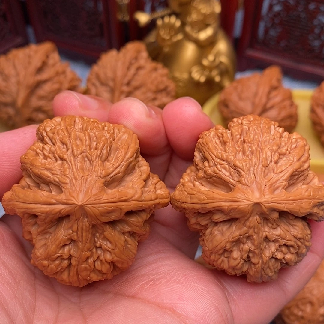 把件文玩核桃45精品毕业粗筋