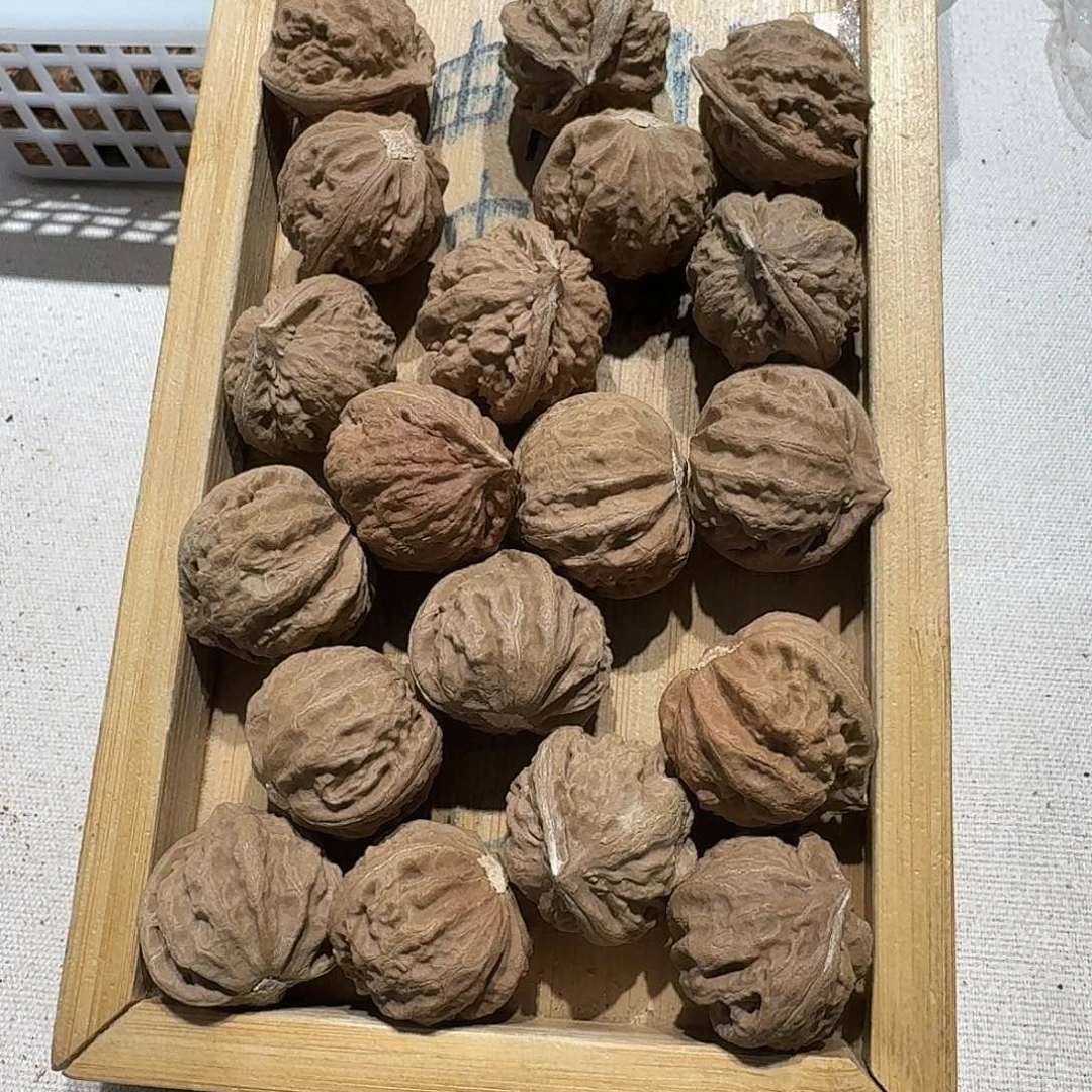 核桃手串/手链59号边28手持