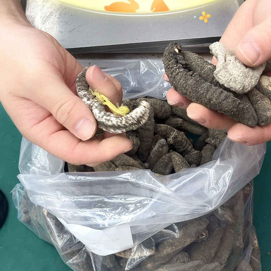 中国大陆品相不佳残次北极参