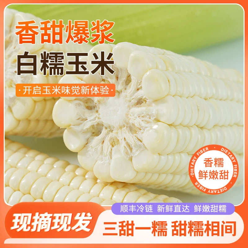 【超甜白糯爆浆玉米】新鲜甜糯爆浆爆汁玉米现砍当季玉米1/3/4斤装