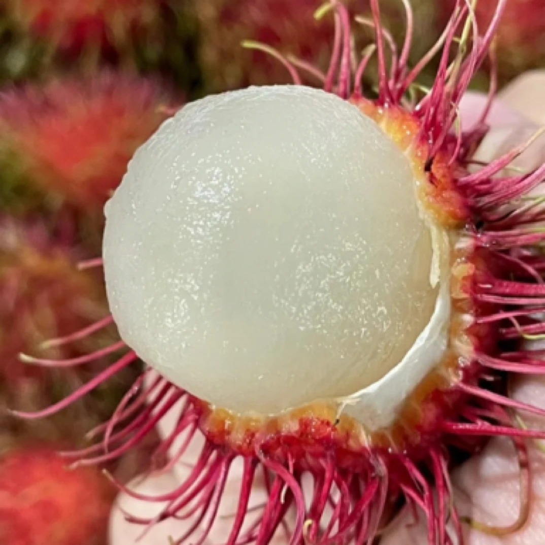 【坏果包赔】红毛丹（约1斤±30g）