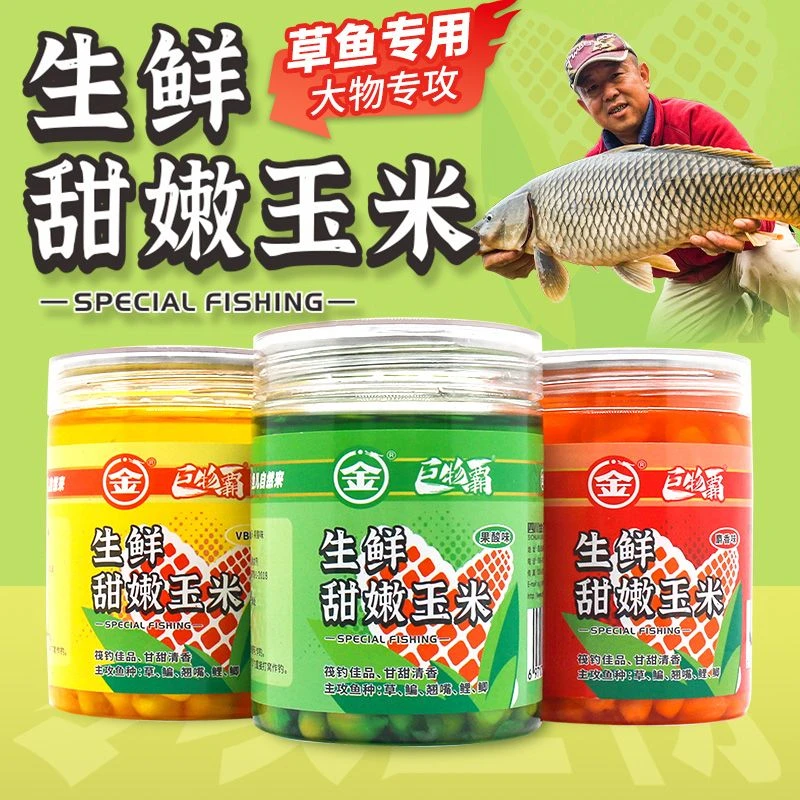 金龙鱼饵生鲜甜嫩玉米手剥挂钩玉米野钓草鱼鳊鲤鱼翘嘴钓大物