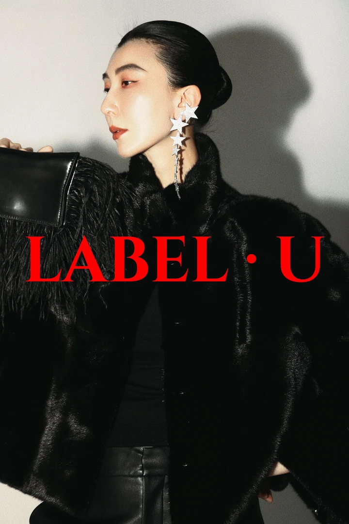 【坤姨专属】轻奢“宝嘉美”短款横排立领水貂皮草外套KY56117