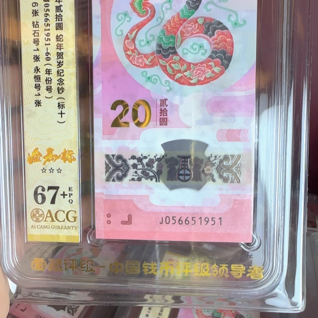 塑料2025蛇钞 标十 啊啊啊啊啊