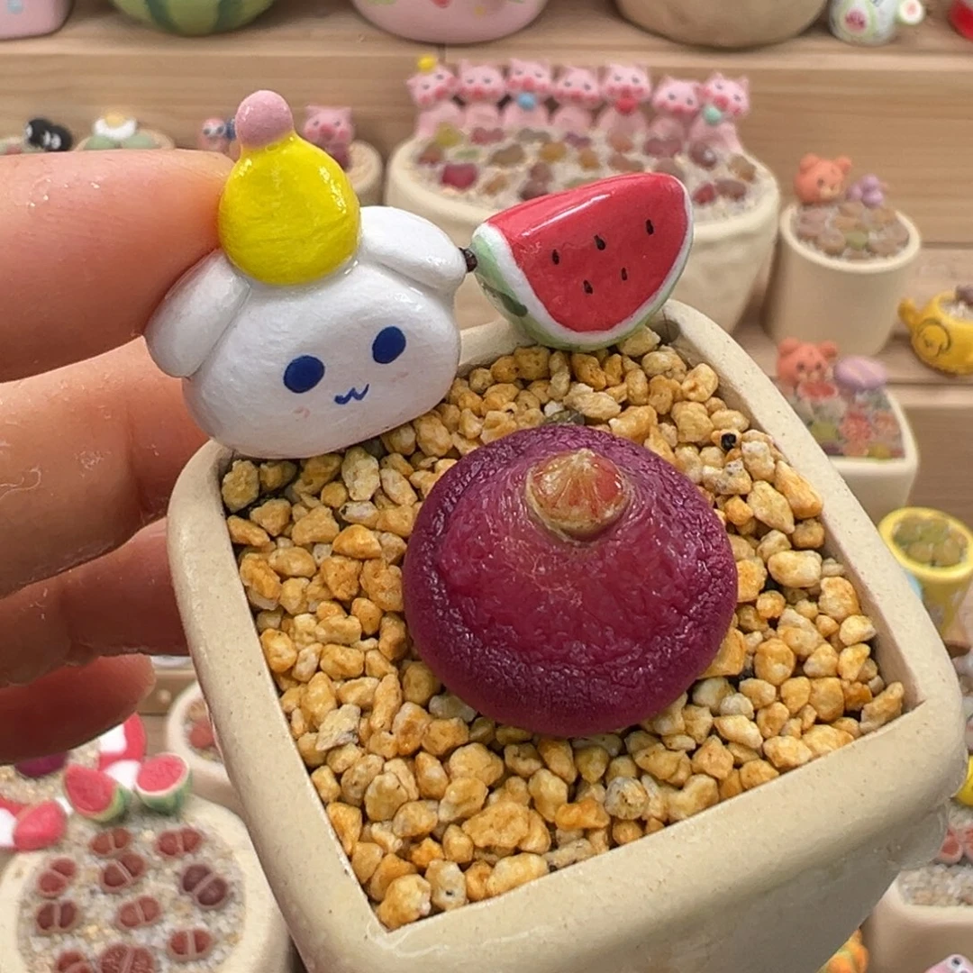 多肉植物68号灯泡