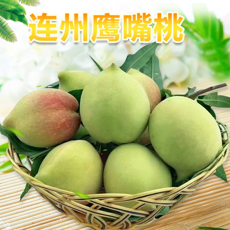 连州鹰嘴桃新鲜现摘原产地果园直发顺丰包邮