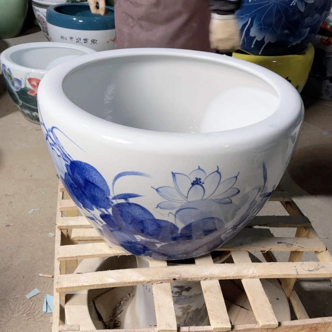 瓷片兰荷花50全888888888888888