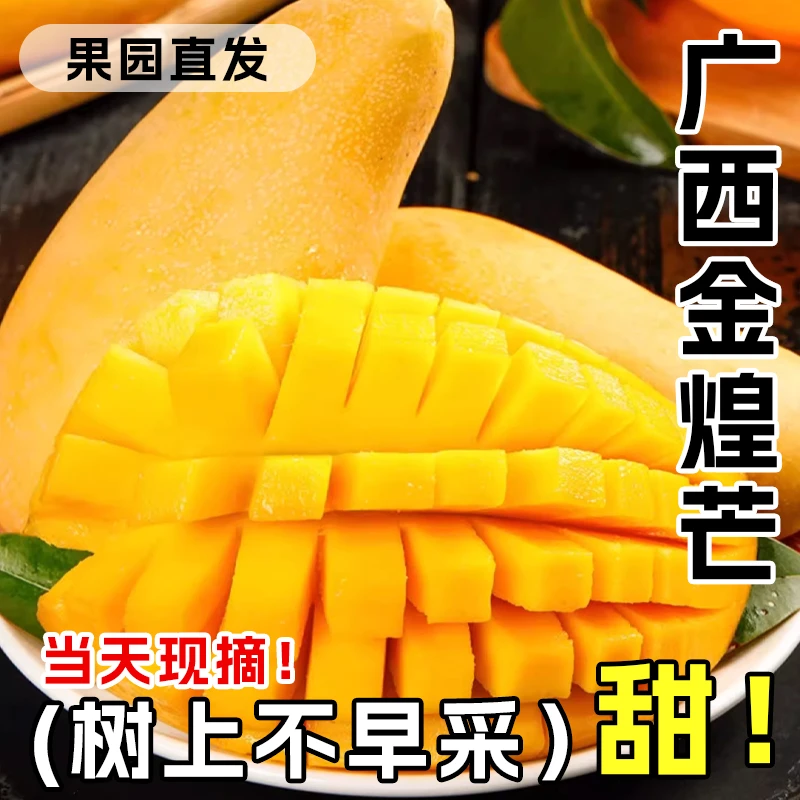广西金煌芒新鲜应季水果爆甜多汁广西芒果直达产地直发批发
