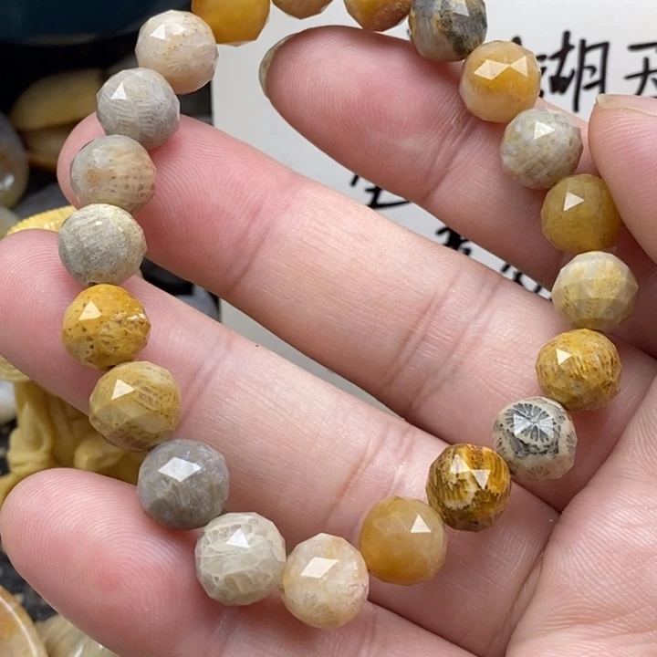 硅化珊瑚（珊瑚玉）未镶嵌颈饰