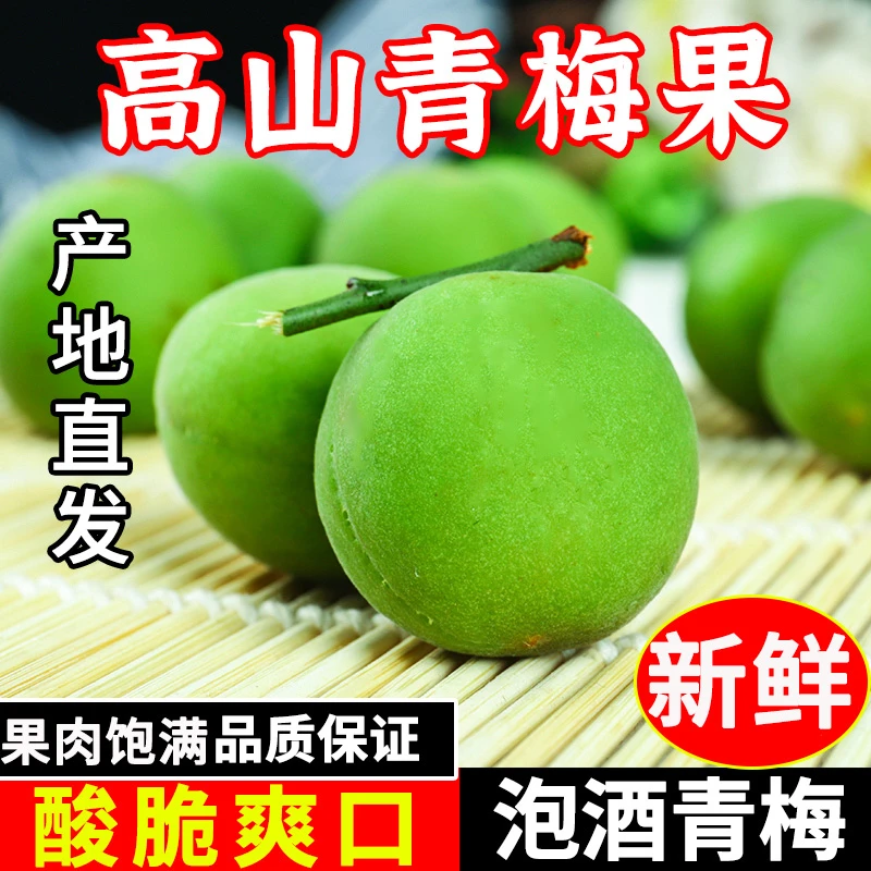 云南新鲜青梅深山农家鲜果生酸梅子水果泡酒散装青梅