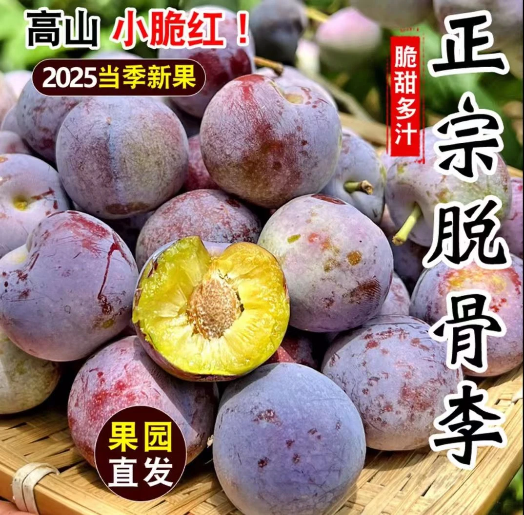 四川脆红李现摘现发脱骨应季当季李子四川特产