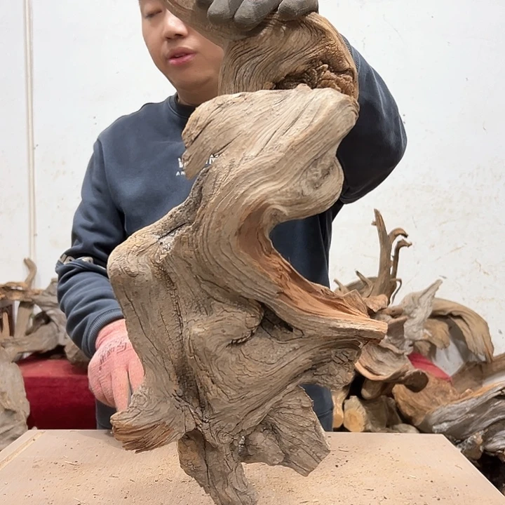 柏木青*我们都是好孩子呀我也是