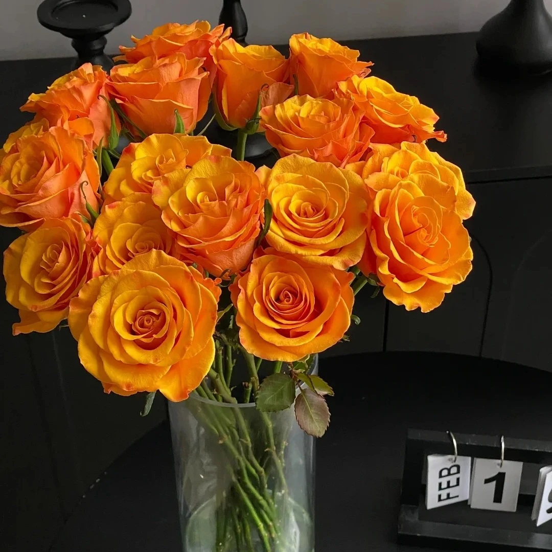 【锦裳花】辉煌玫瑰 基地直发  两单升级EMS空运/京东冷链